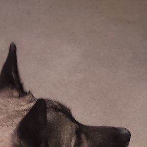 Meet your Posher, Julian